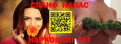 дживик Дубна