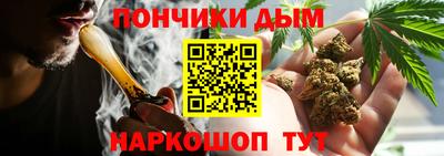 дживик Дубна
