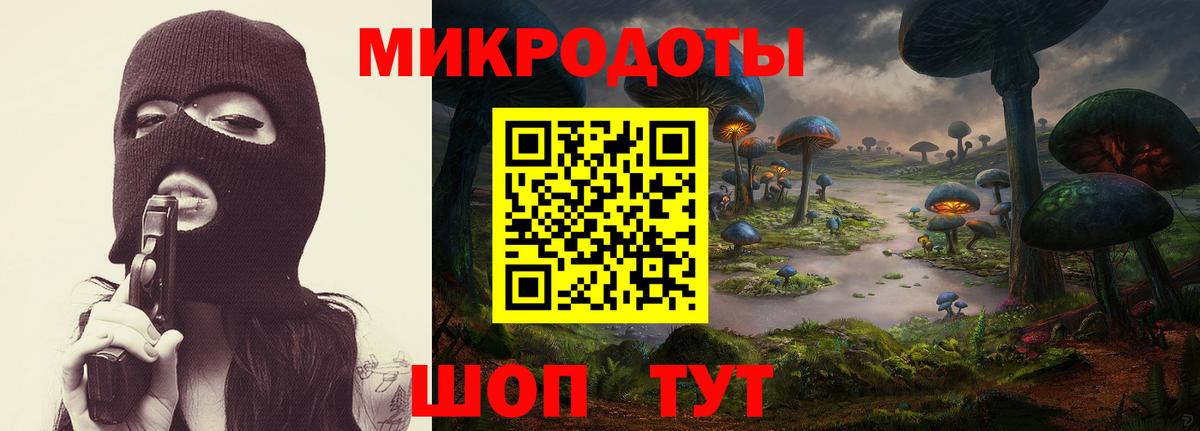 Галлюциногенные грибы мицелий Коряжма