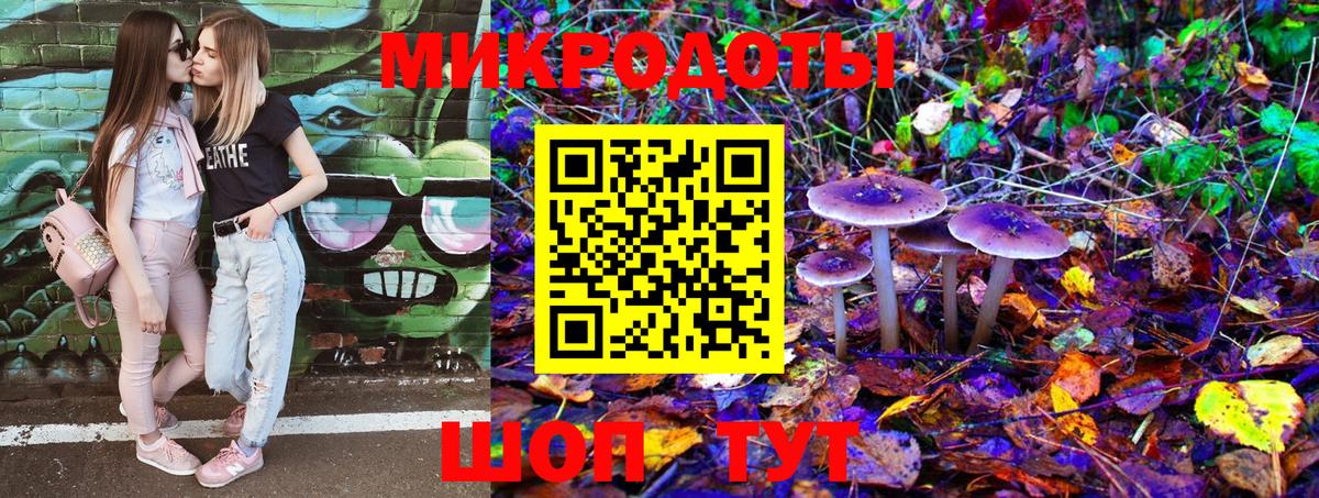 Коряжма  Галлюциногенные грибы Psilocybe  Вход с VPN 